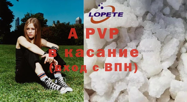 соль ск Болохово