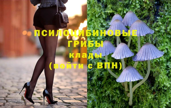 стаф Михайловка
