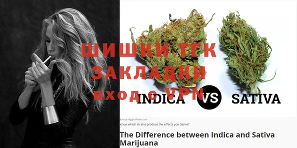 стаф Михайловка