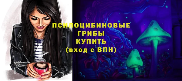 стаф Михайловка
