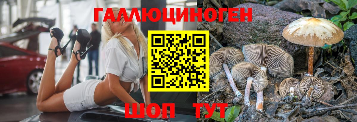 Галлюциногенные грибы ЛСД Армавир