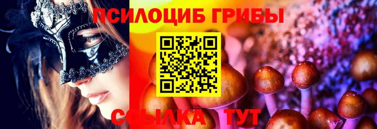наркошоп  Армавир  Галлюциногенные грибы MAGIC MUSHROOMS 